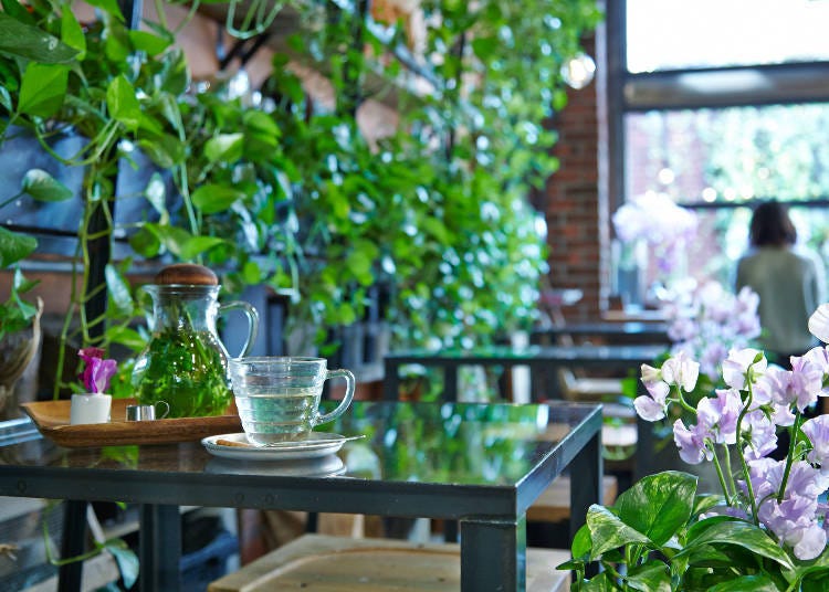 在温室里捻花惹草，疗愈人心的朵朵花潮下午茶『Aoyama Flower Market TEA HOUSE』