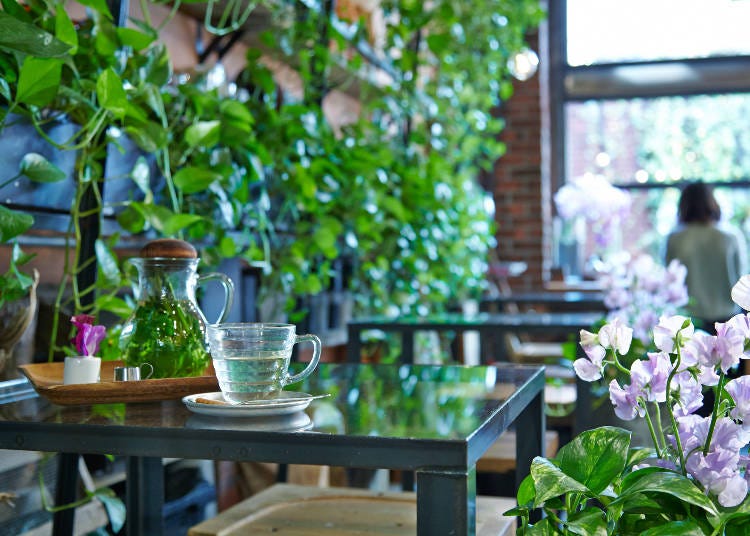 在溫室裡捻花惹草，療癒人心的朵朵花潮下午茶『Aoyama Flower Market TEA HOUSE』