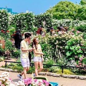 Yokohama Chinatown, Temple & Bayside Red Brick Warehouse Walking Tour
See Details on Klook ▶