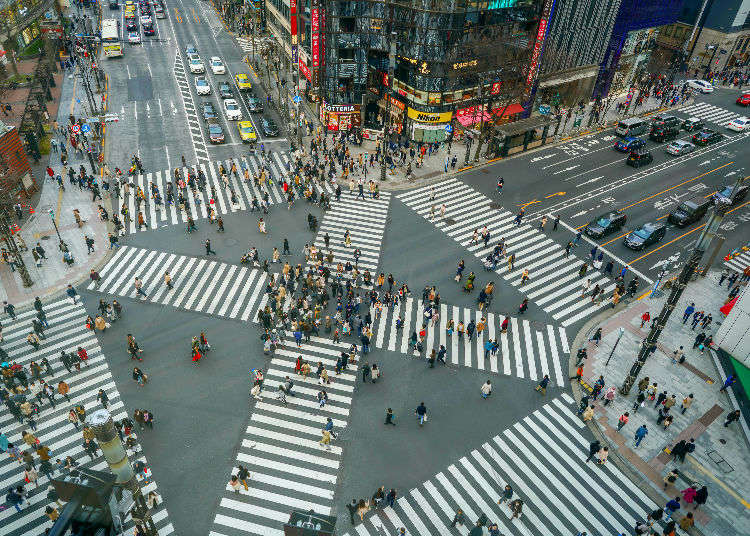 skruenøgle terrasse deformation Tokyo Bucket List: Top 8 Places To Visit in Tokyo (1-Day Itinerary) | LIVE  JAPAN travel guide