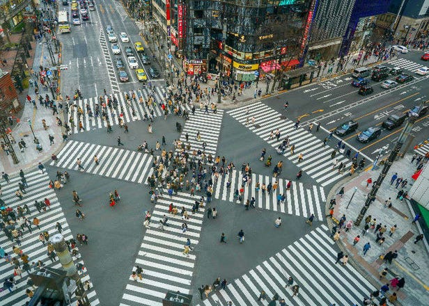 What to Do in Tokyo For a Day: 8 Must-Visit Spots from Asakusa to Roppongi