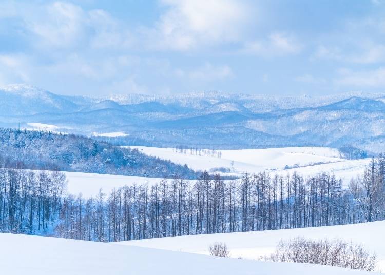Biei in winter (Image: PIXTA)