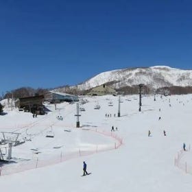 Niseko Annupuri International Ski Area