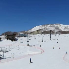 니세코 안누푸리 국제 스키장(Niseko Annupuri International Ski Area)