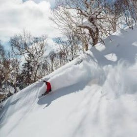 삿포로 고쿠사이 스키장(Sapporo Kokusai Skiing Resort)