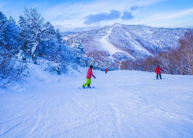 在岩手玩滑雪板 照片來源:PIXTA