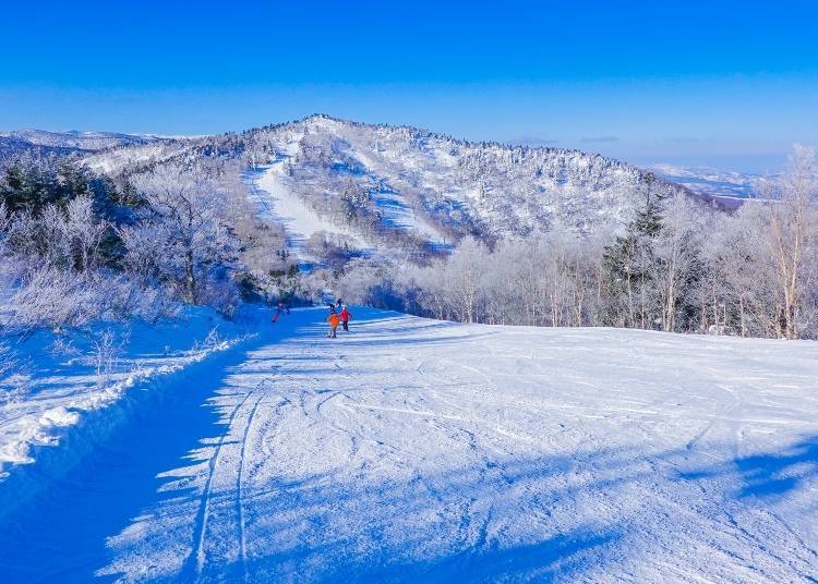 岩手縣的冬天雪景 照片來源:PIXTA