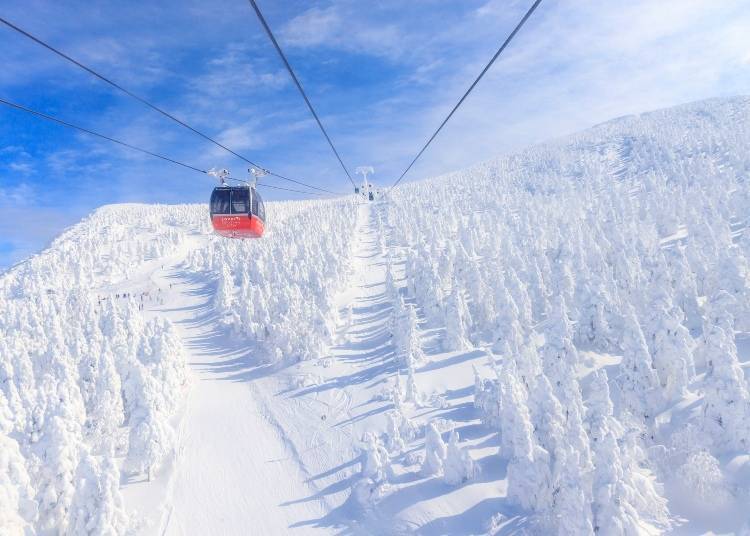 山形縣著名的雪怪風景 照片來源:PIXTA