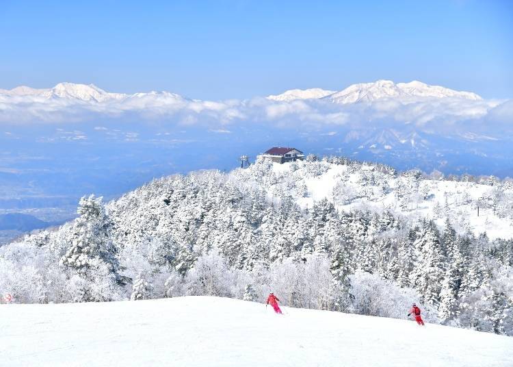 新潟冬天雪景 照片來源:PIXTA