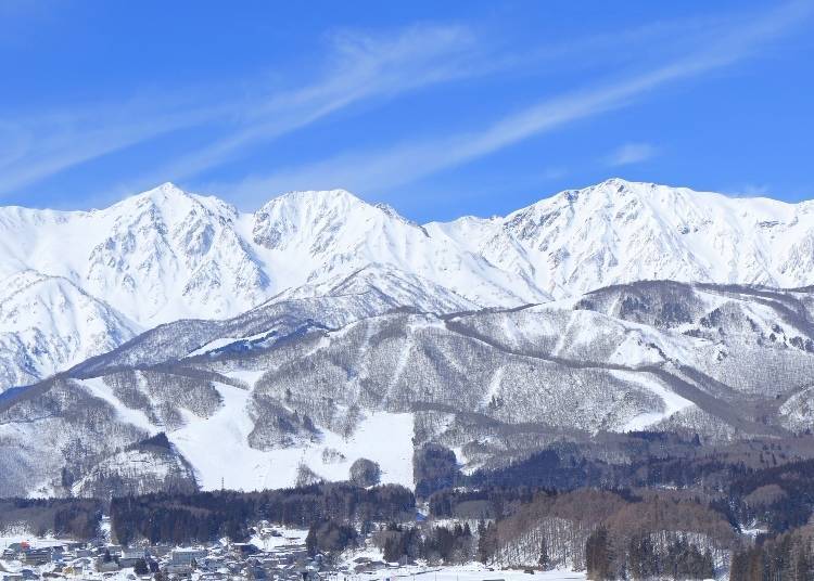 長野冬天的雪白景色 照片來源:PIXTA