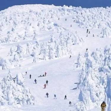 山形藏王溫泉滑雪場