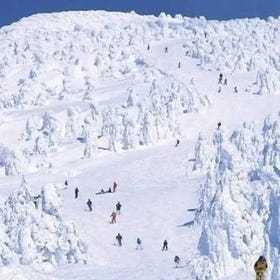 山形藏王溫泉滑雪場