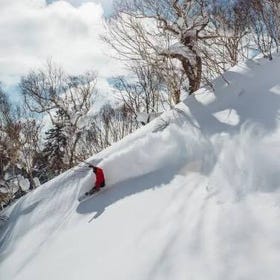 札幌國際滑雪場
