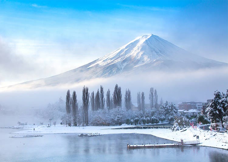 Why Ski in Japan?