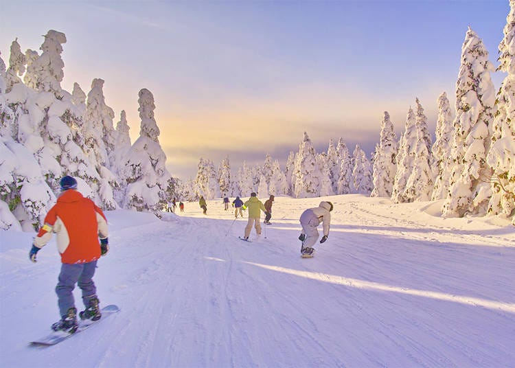 Ski & Snowboarding Lessons in Japan