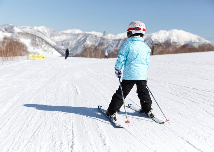Skiing in Japan for Beginners: for Your & Snowboard Holiday! | LIVE travel