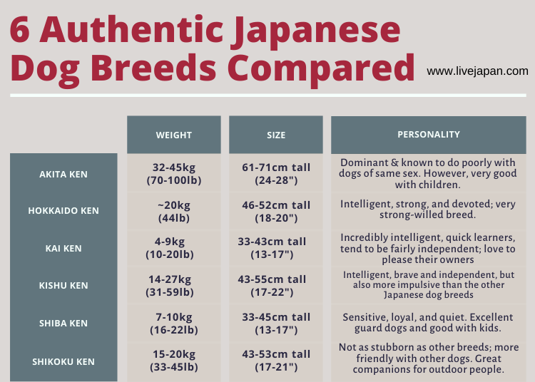 Wrap Up: Japanese Dog Breeds