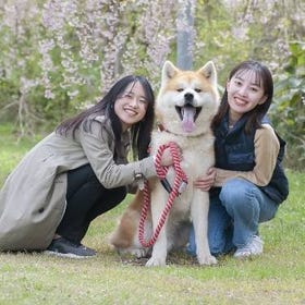 아키타견과 함께하는 숲속 산책 사계절의 자연을 만끽 건강관광 인증제도(아키타현 미타네초)

상세 & 예약▶
(Image: KKday)