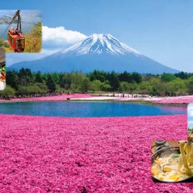 Mt. Fuji Flower Festival & Ropeway & Fruit Picking Tour from Tokyo