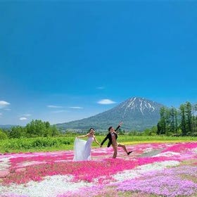 (1-Day Tour) Three major early summer flower fields in Hokkaido