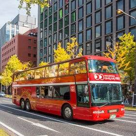 (Osaka) Osaka Sky Vista Double-Decker Open-Top Bus Tour