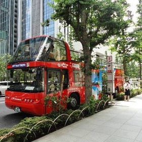 (Tokyo) Hop-On Hop-Off Tokyo Bus by Skyhop Bus