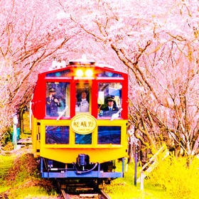 京都嵐山 & 嵯峨野小火車 (自費體驗)& 三千院一日遊
▶點擊預約
圖片提供：Klook