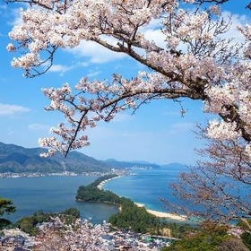 (從大阪出發)美山村落・伊根灣遊船・天橋立一日遊