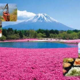 (從東京出發)忍野八海・富士山花卉・纜車・採果一日遊