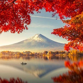 【富士山列車體驗】賞楓季&河口湖楓葉長廊&山中湖&日川時計店&新倉山淺間公園一日遊
▶點擊預約
圖片提供：Klook