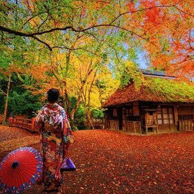 【秋季限定】九州別府賞楓一日遊｜灶門神社+由布院+海地獄+耶馬溪｜中英文導遊
▶點擊預約
圖片提供：Klook