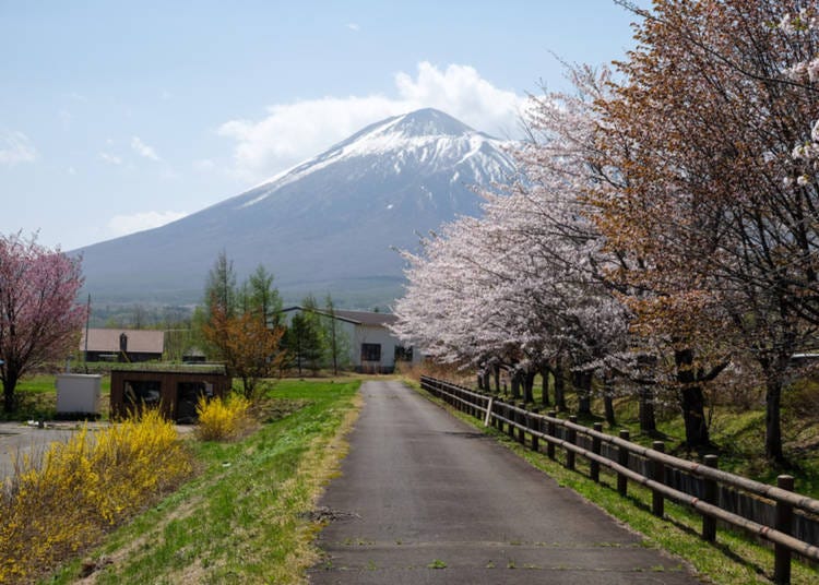 Mount Hachimantai in the spring