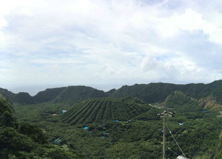 Aogashima's famous double caldera. Photo: Timothy Sullivan