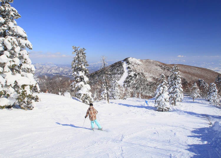 日本滑雪勝地⑧夏油高原滑雪場【岩手縣】