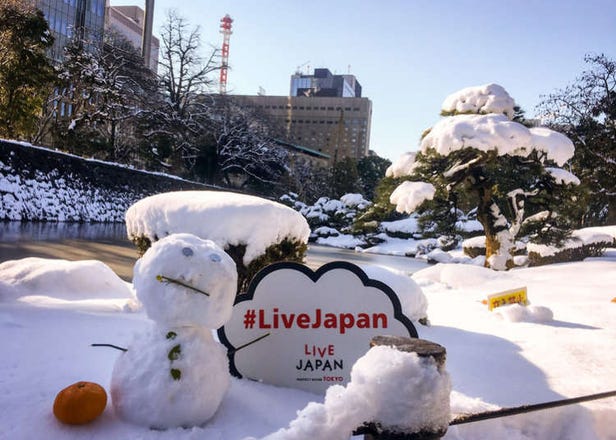 Tokyo Snowmageddon 2018 - Tokyo Sees Largest Snowfall in Over 4 Years!