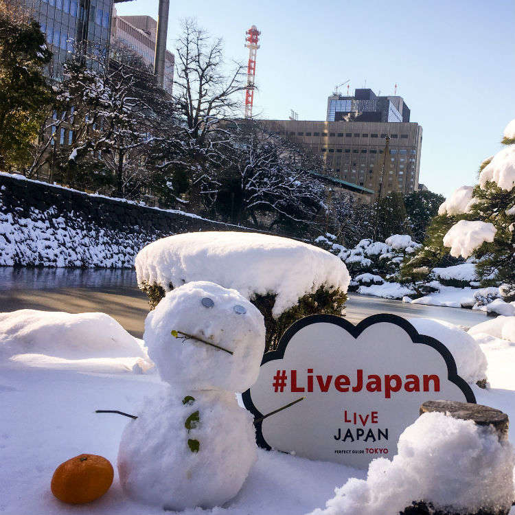 Snowfall magc snowing   秋の雪景色 Snowfall magc snowing 秋の雪景色 Snowfall magc snowing 秋の