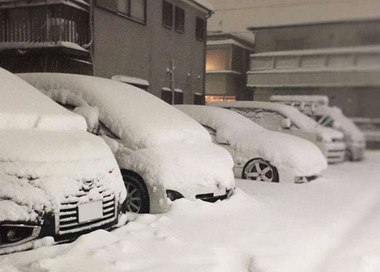 Snow-capped cars in every lot!