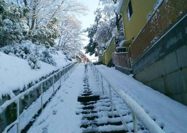 Snow in Tokyo's Suburbs