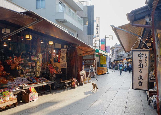 為什麼大家都愛逛東京老街？讓你愛上東京老街的10個理由