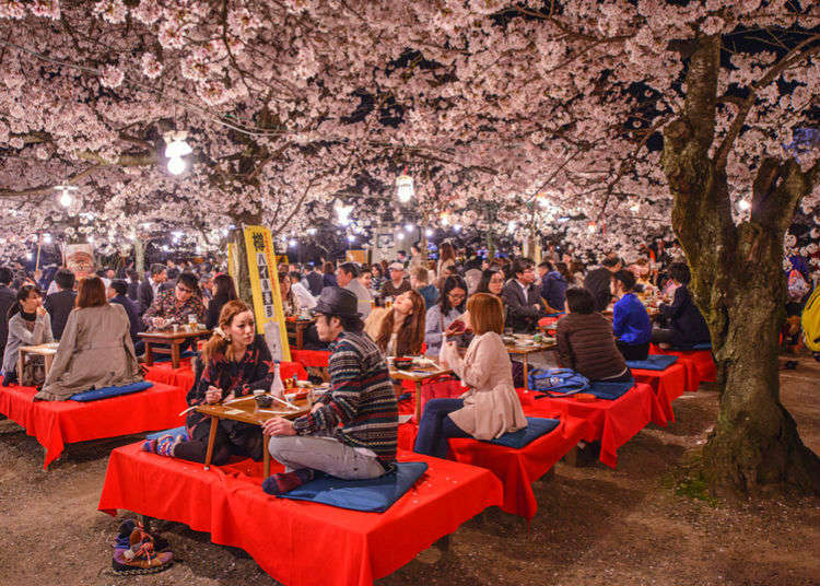 Complete Hanami Guide: How to Enjoy a Cherry Blossom Party in Japan! | LIVE  JAPAN travel guide