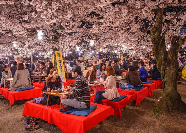 Complete Hanami Guide: How to Enjoy a Cherry Blossom Party in Japan!