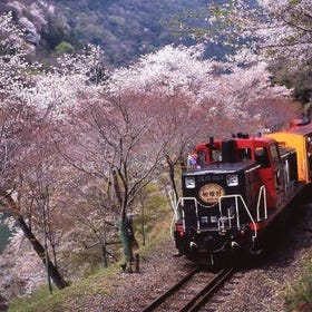 嵐山觀光火車 & 保津川漂流體驗一日遊
▶點擊預約
圖片提供：Klook