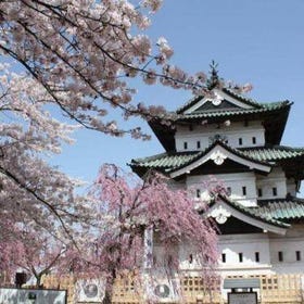 青森賞櫻！北上天照地、角館、小岩井農場、弘前公園～陸奧三大賞櫻勝地
▶點擊預約
圖片提供：KKday
