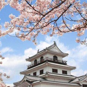 四月賞櫻去～山形白石城＆宮城藏王狐狸村一日遊旅遊預約
▶點擊預約
圖片提供：Klook