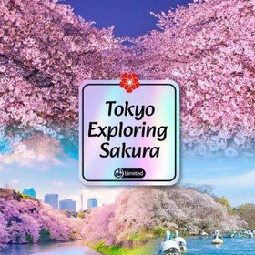 【櫻花季限定含午餐賞櫻探秘】上野恩賜公園&千鳥淵&目黑川夜櫻賞櫻一日遊
▶點擊預約
圖片提供：Klook