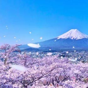 賞櫻趣！富士山壯麗美景一日遊（東京出發）
▶點擊預約
圖片提供：Klook