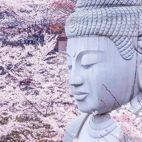 [奈良] 櫻花大佛 & 吉野山之旅（含草莓採摘）
▶點擊預約
圖片提供：Klook