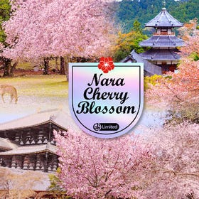 【櫻花季限定奈良賞櫻】奈良公園&東大寺&吉野山賞櫻一日遊
▶點擊預約
圖片提供：Klook