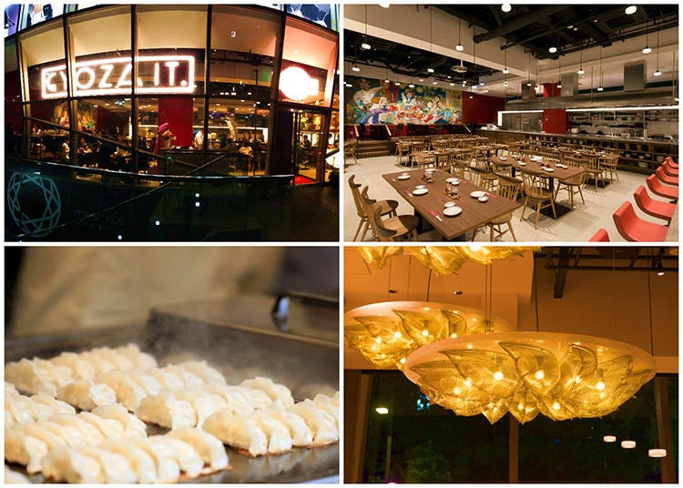 1) Gyoza It looks like a fancy wine bar 2) The interior 3) Frying gyoza on the teppan 4) The gyoza chandelier