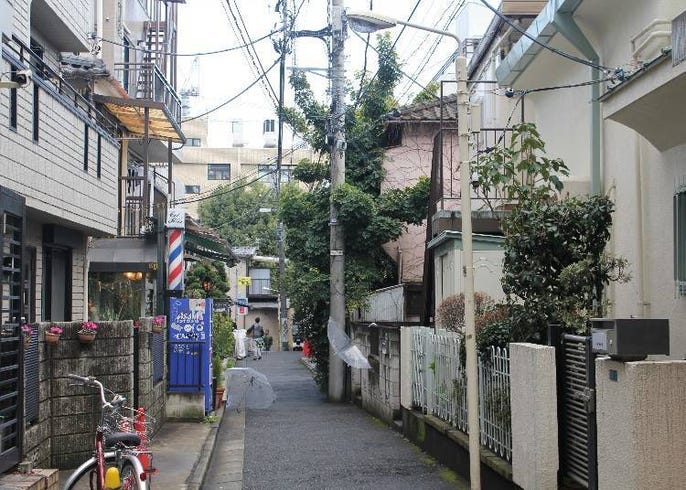 Beyond The Guidebook 7 Secret Sightseeing Spots In Harajuku And Omotesando That Only Locals Know Live Japan Travel Guide